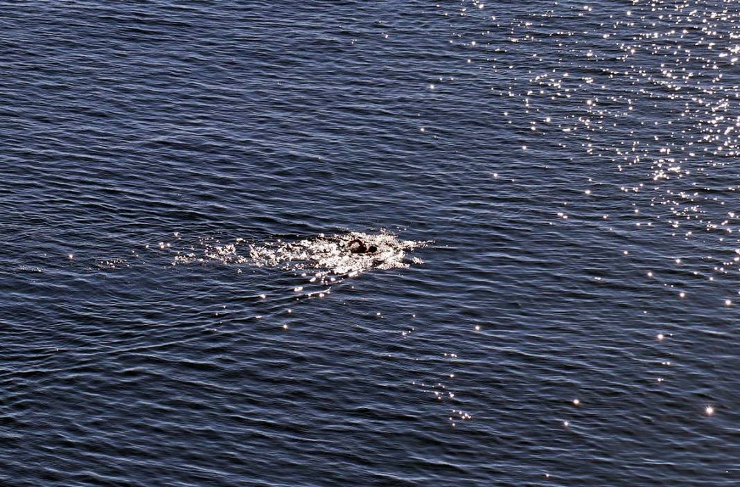 O kent iki mevsimi aynı anda yaşadı: Bir yanda kar, diğer yanda deniz keyfi! Dağ, tepe, sahil, deniz doldu taştı 19